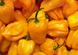 Aji Amarillo