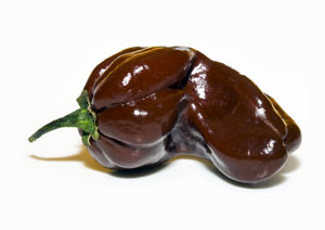 Habanero Chocolate